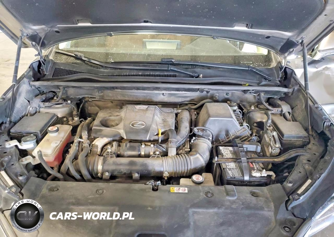 2020 Lexus Nx 300 VIN:JTJGARDZ7L5009274 - 12
