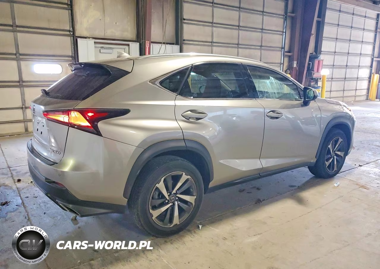 2020 Lexus Nx 300 VIN:JTJGARDZ7L5009274 - 3