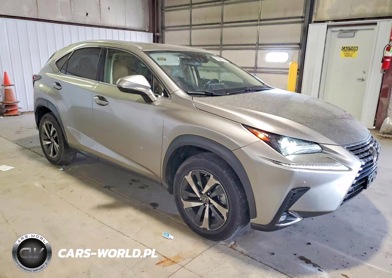 2020 Lexus Nx 300 VIN:JTJGARDZ7L5009274 - 4