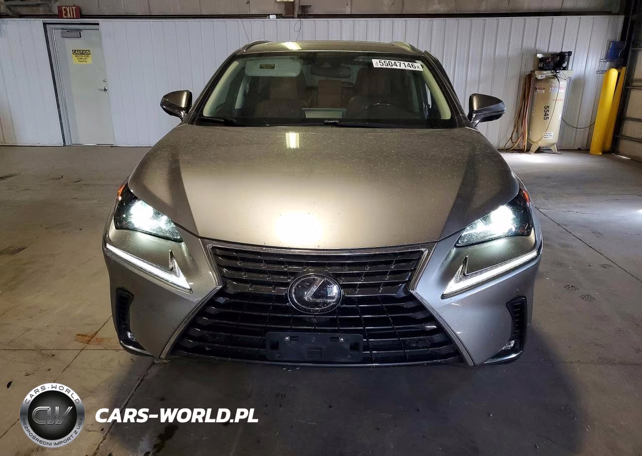 2020 Lexus Nx 300 VIN:JTJGARDZ7L5009274 - 5
