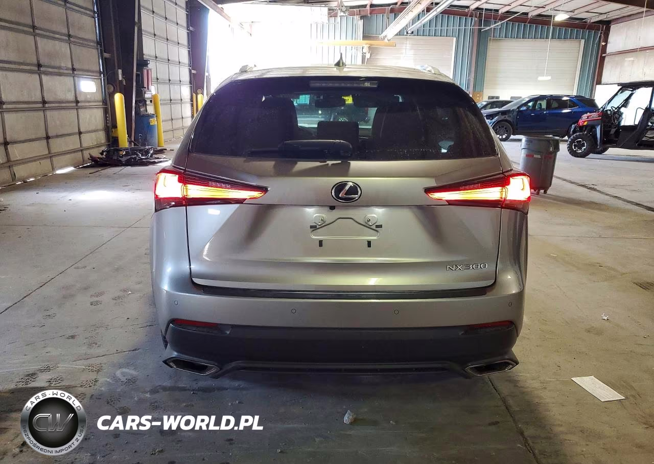 2020 Lexus Nx 300 VIN:JTJGARDZ7L5009274 - 6
