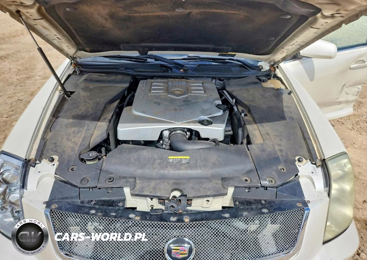 2006 Cadillac Sts VIN:1G6DW677660119303 - 11