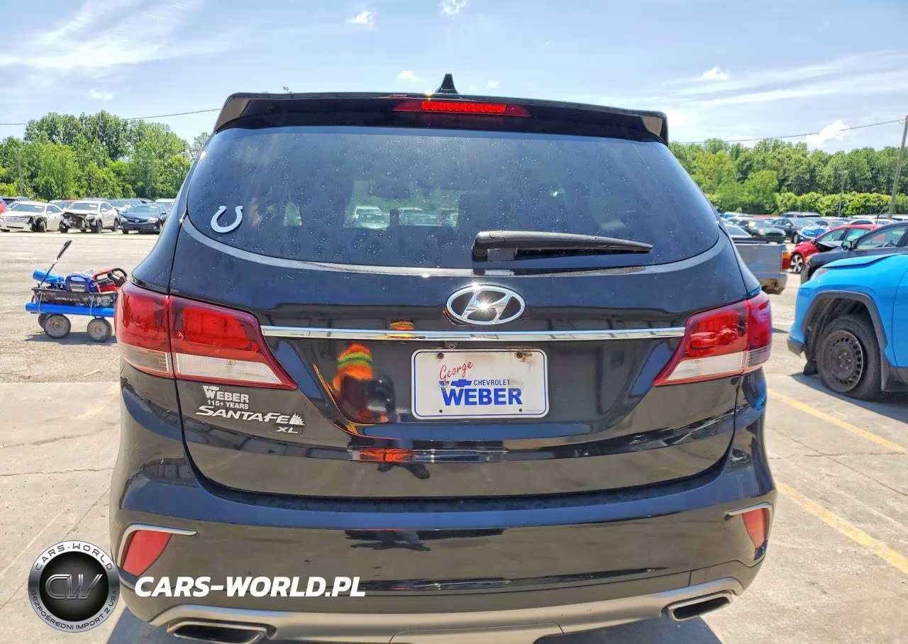 2019 Hyundai Santa Fe Xl Se VIN:KM8SN4HF3KU303498 - 6