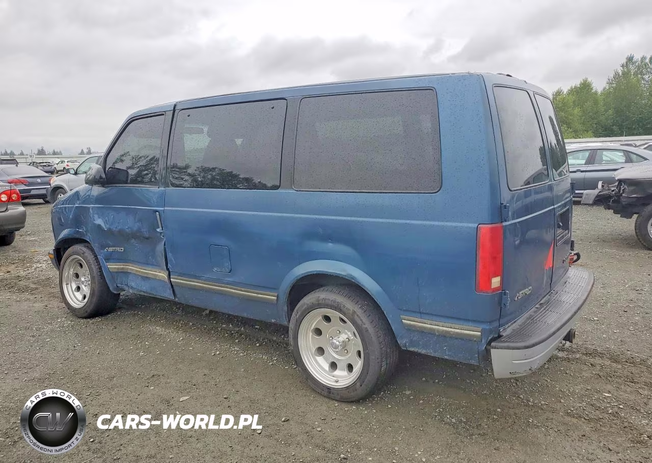 1998 Chevrolet Astro VIN:1GNDM19W4WB195303 - 2