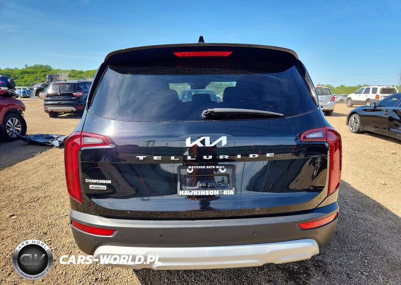 2022 Kia Telluride Lx VIN:5XYP2DHCXNG309930 - 6
