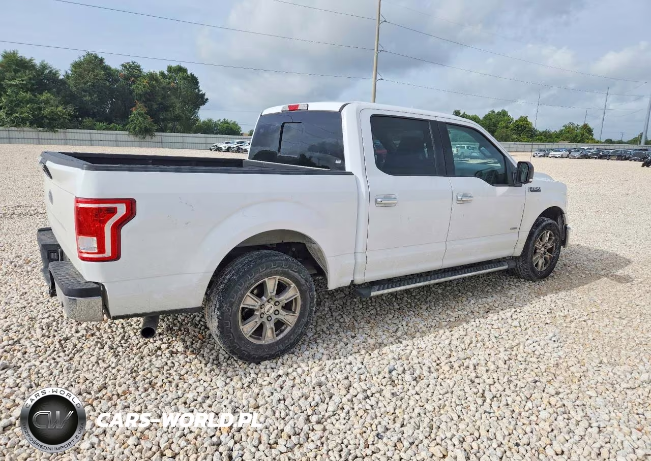 2017 Ford F150 Supercrew VIN:1FTEW1CP6HKD82845 - 3