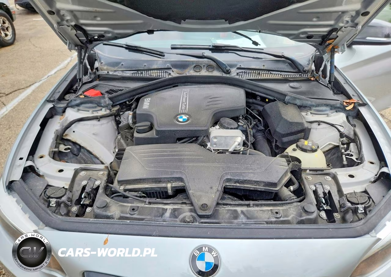 2016 BMW 228 I Sulev VIN:WBA1F9C54GV742233 - 11