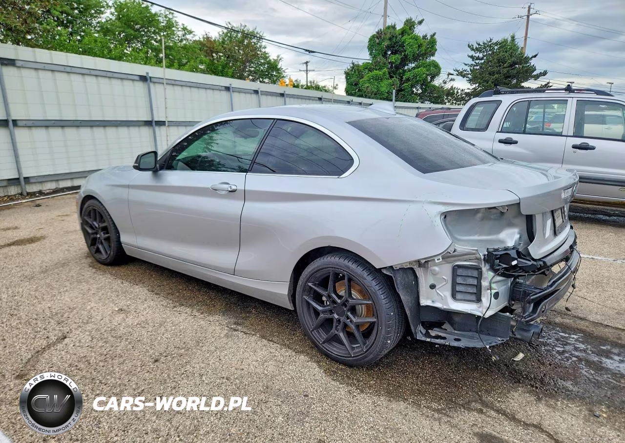 2016 BMW 228 I Sulev VIN:WBA1F9C54GV742233 - 2