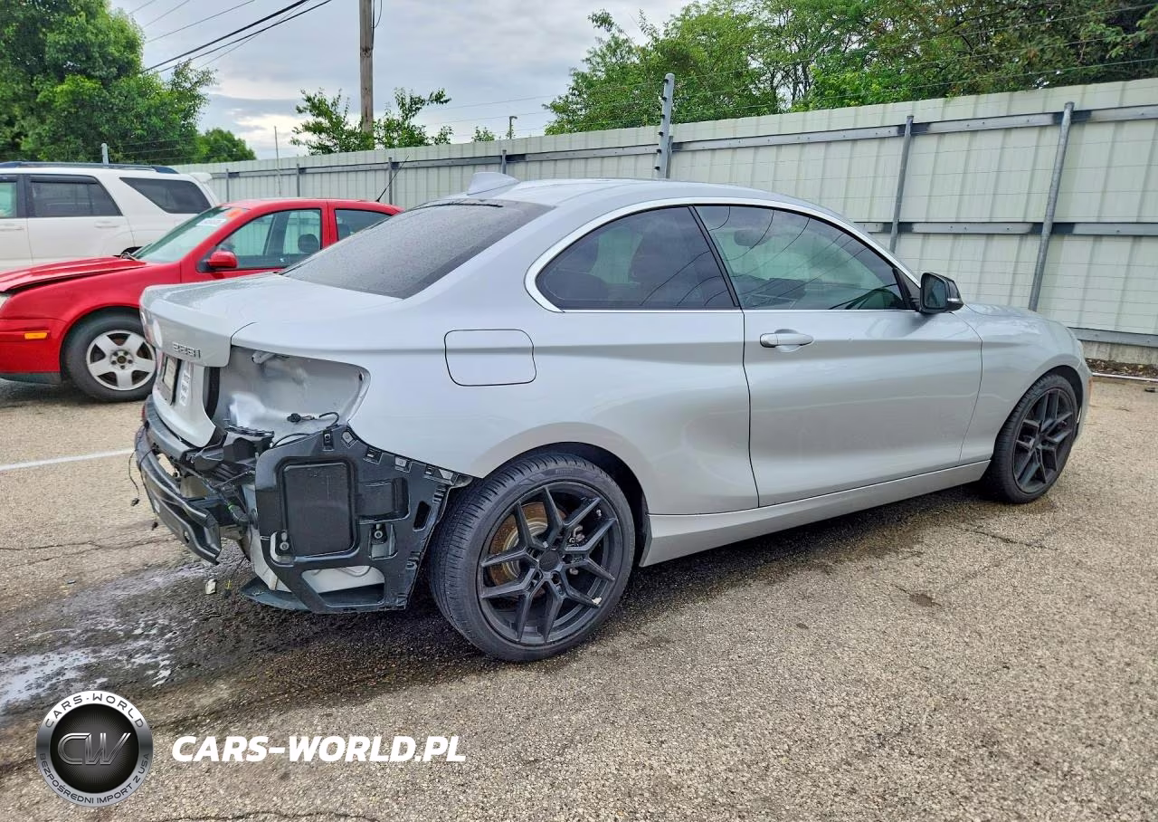2016 BMW 228 I Sulev VIN:WBA1F9C54GV742233 - 3