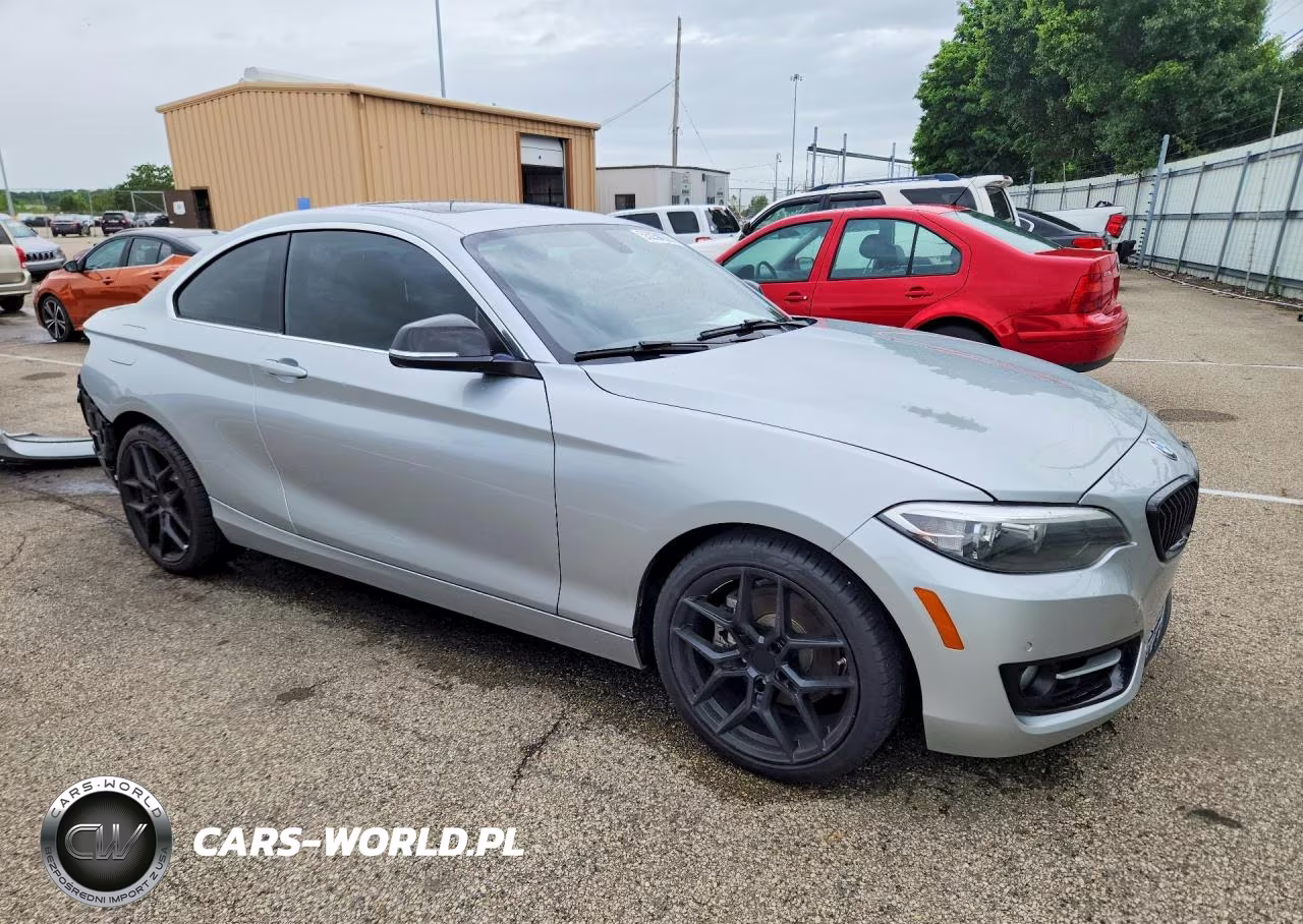2016 BMW 228 I Sulev VIN:WBA1F9C54GV742233 - 4
