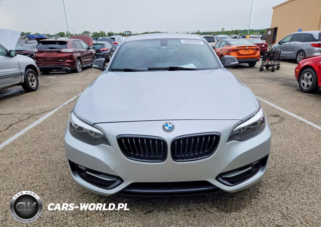 2016 BMW 228 I Sulev VIN:WBA1F9C54GV742233 - 5