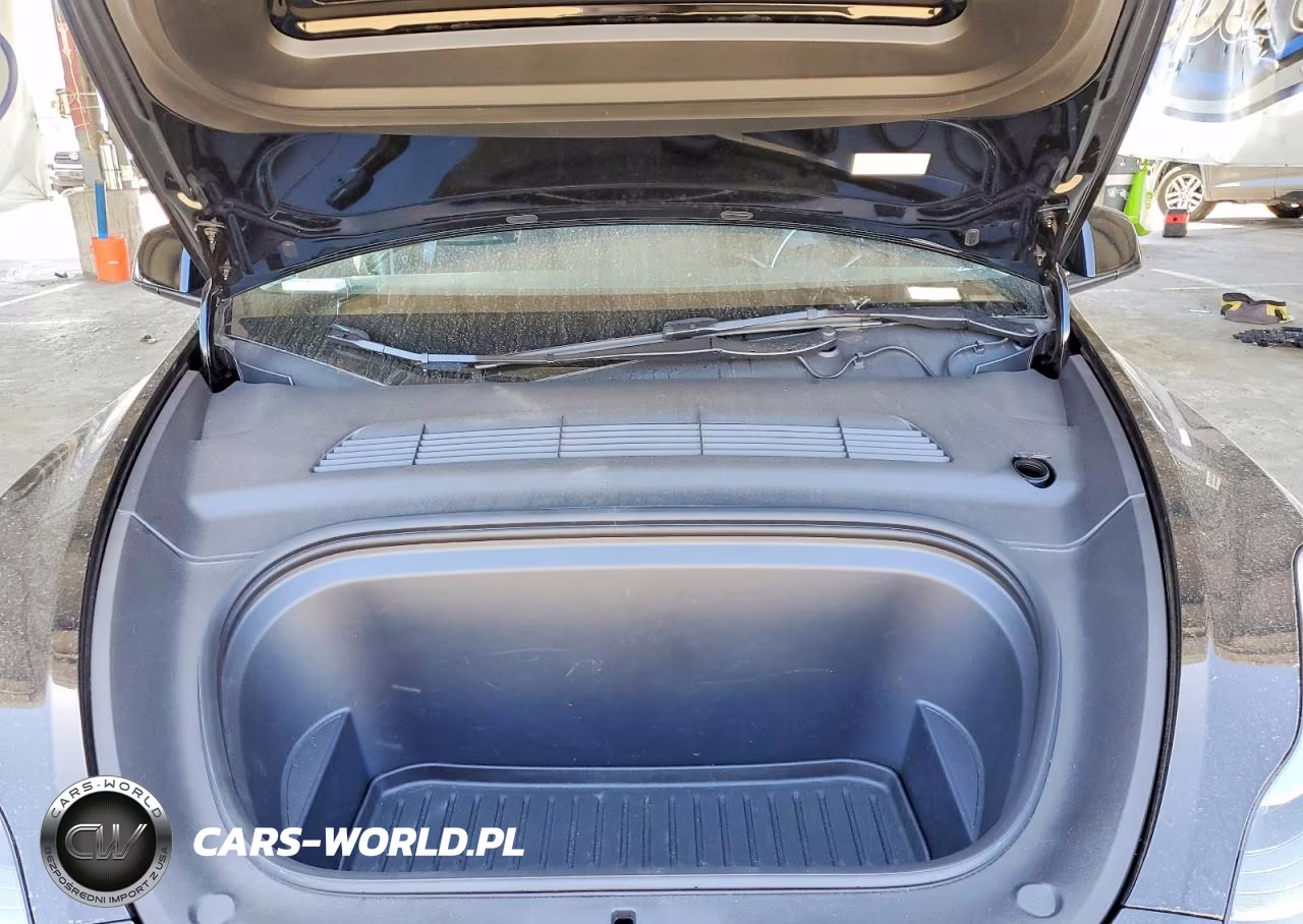 2023 Tesla Model Y VIN:7SAYGDEE2PF892342 - 11