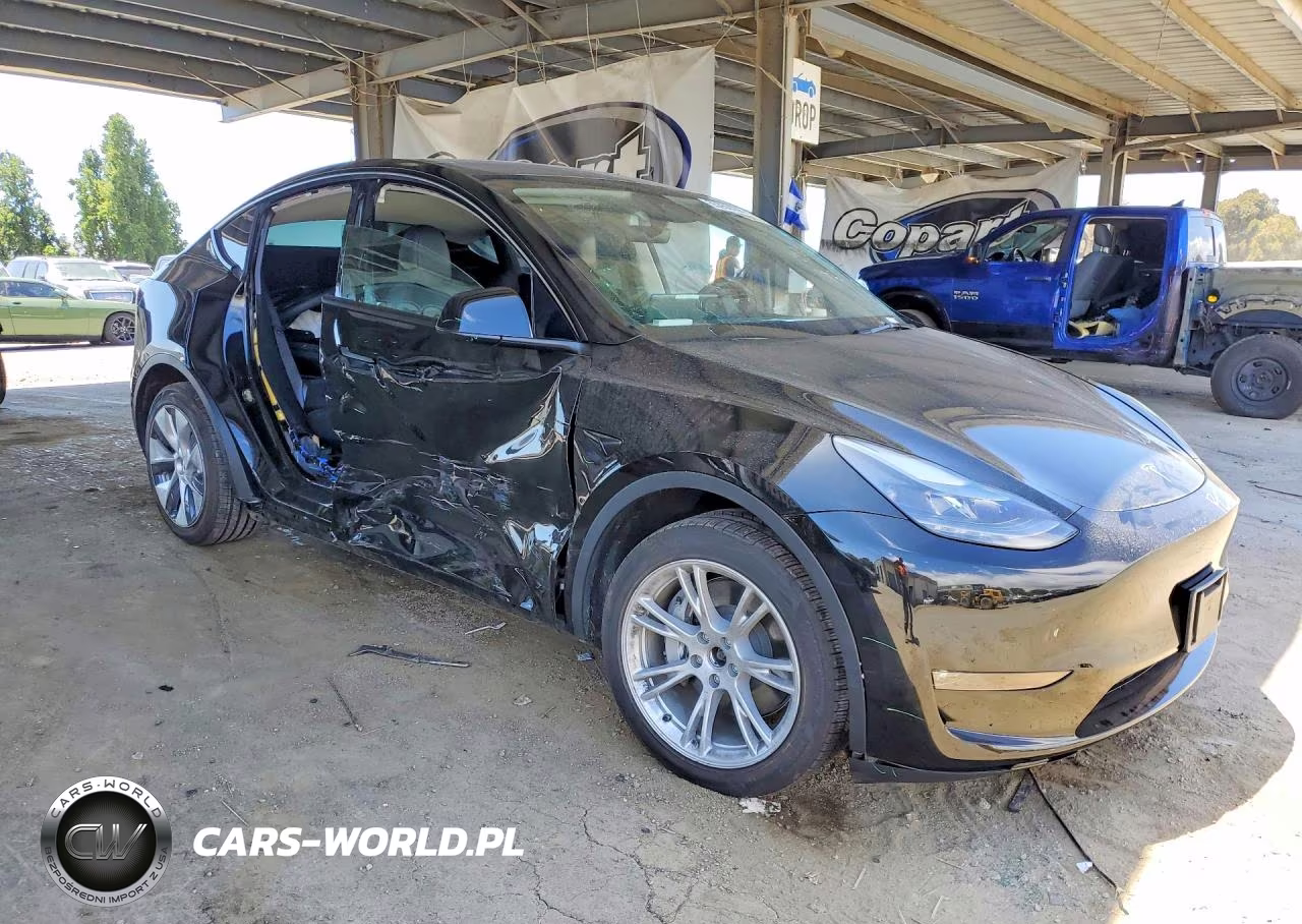 2023 Tesla Model Y VIN:7SAYGDEE2PF892342 - 4