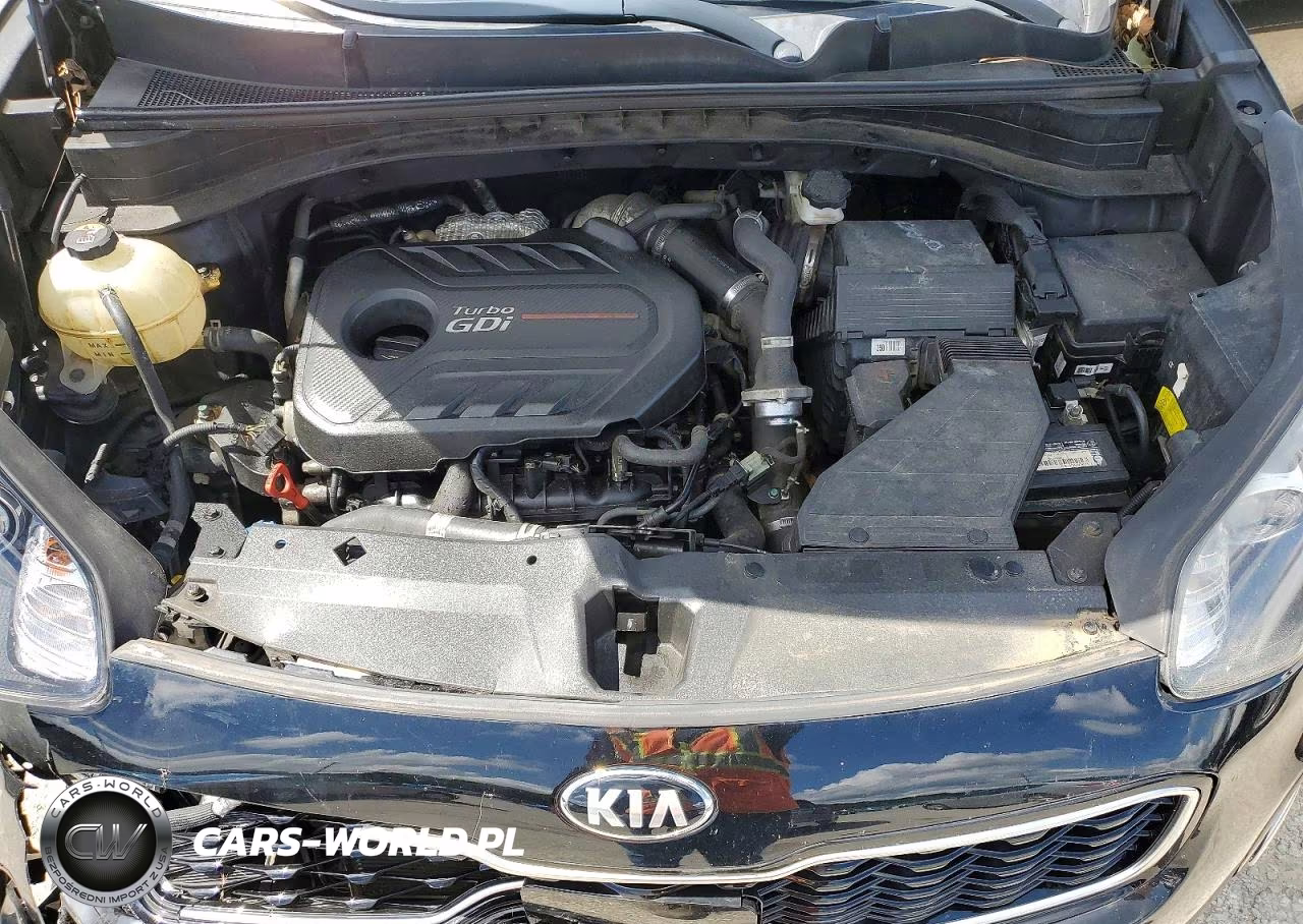 2018 Kia Sportage VIN:KNDPRCA60J7404689 - 12