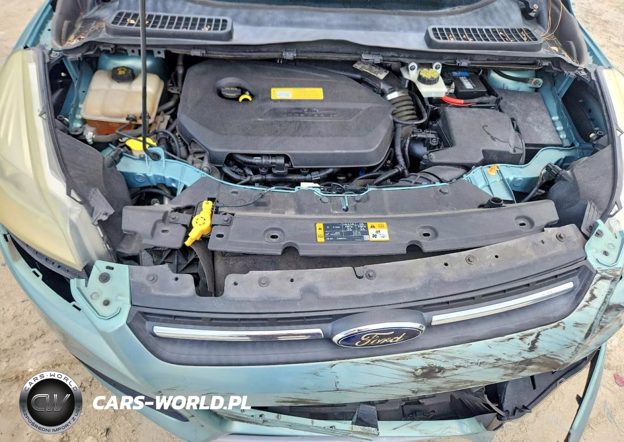 2013 Ford Escape Se VIN:1FMCU0GX7DUC42010 - 12