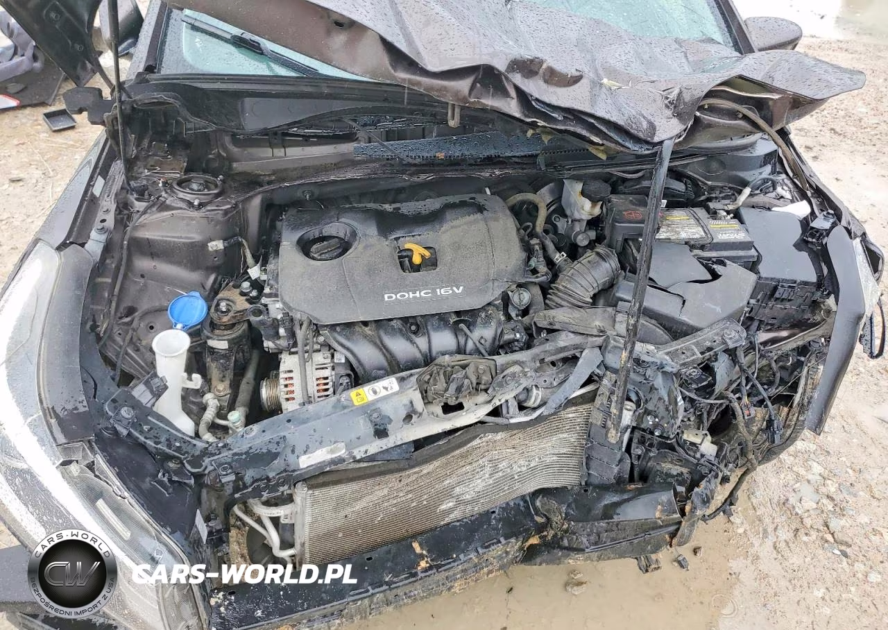 2018 Kia Forte Lx VIN:3KPFL4A75JE217377 - 11