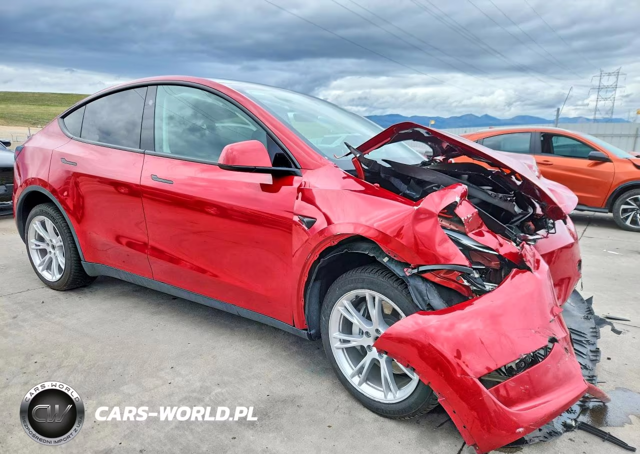2023 Tesla Model Y VIN:7SAYGDEE4PA184560 - 4