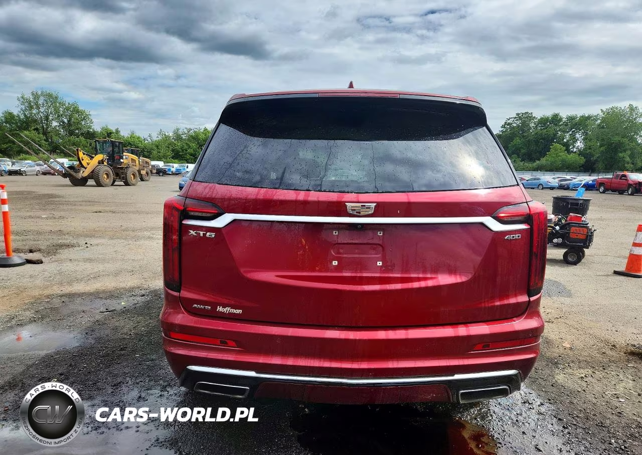 2020 Cadillac Xt6 Premium Luxury VIN:1GYKPDRS7LZ115043 - 6