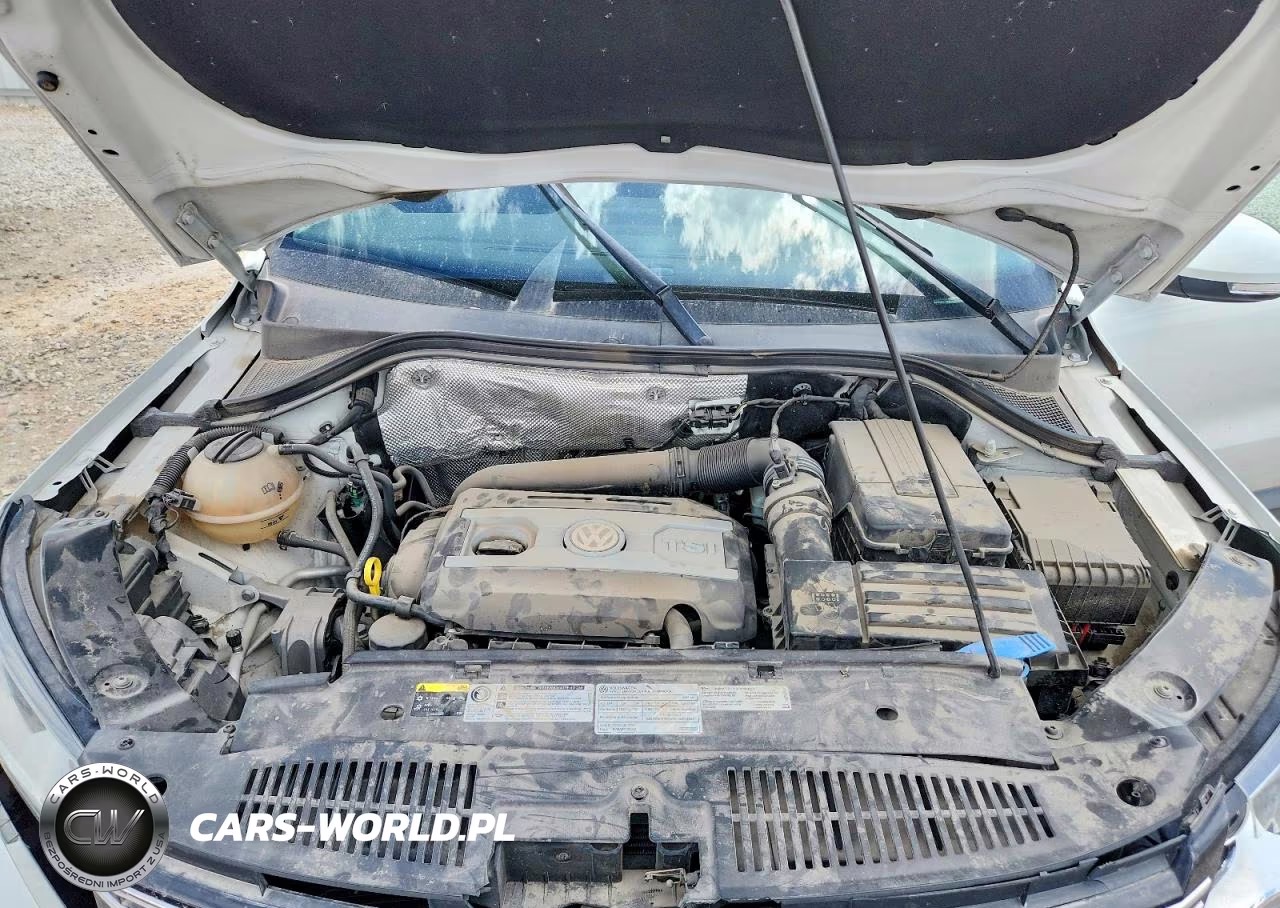 2015 Volkswagen Tiguan S VIN:WVGAV7AX1FW615605 - 11