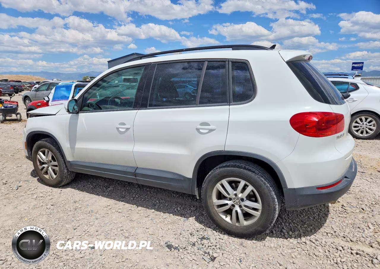 2015 Volkswagen Tiguan S VIN:WVGAV7AX1FW615605 - 2