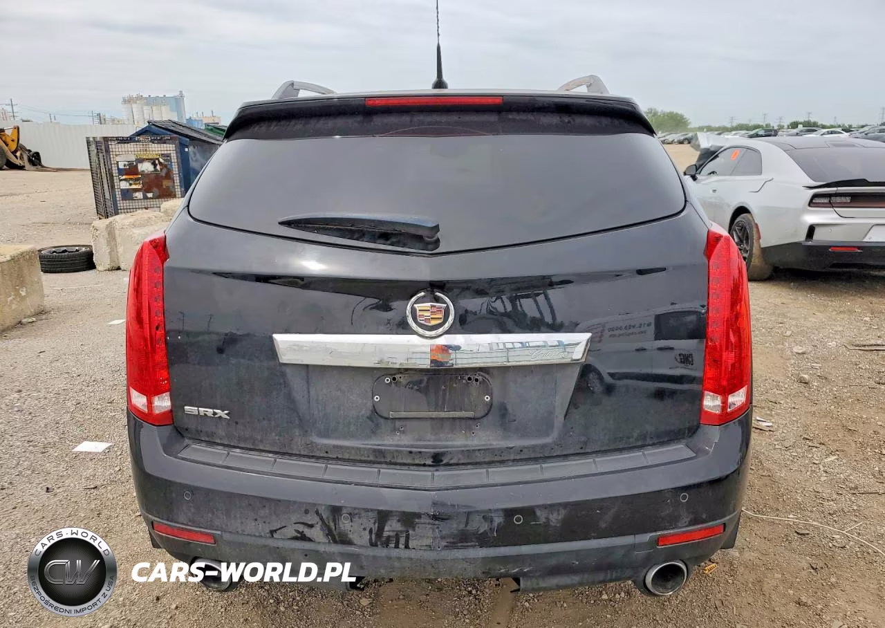 2010 Cadillac Srx Luxury Collection VIN:3GYFNAEY2AS655877 - 6