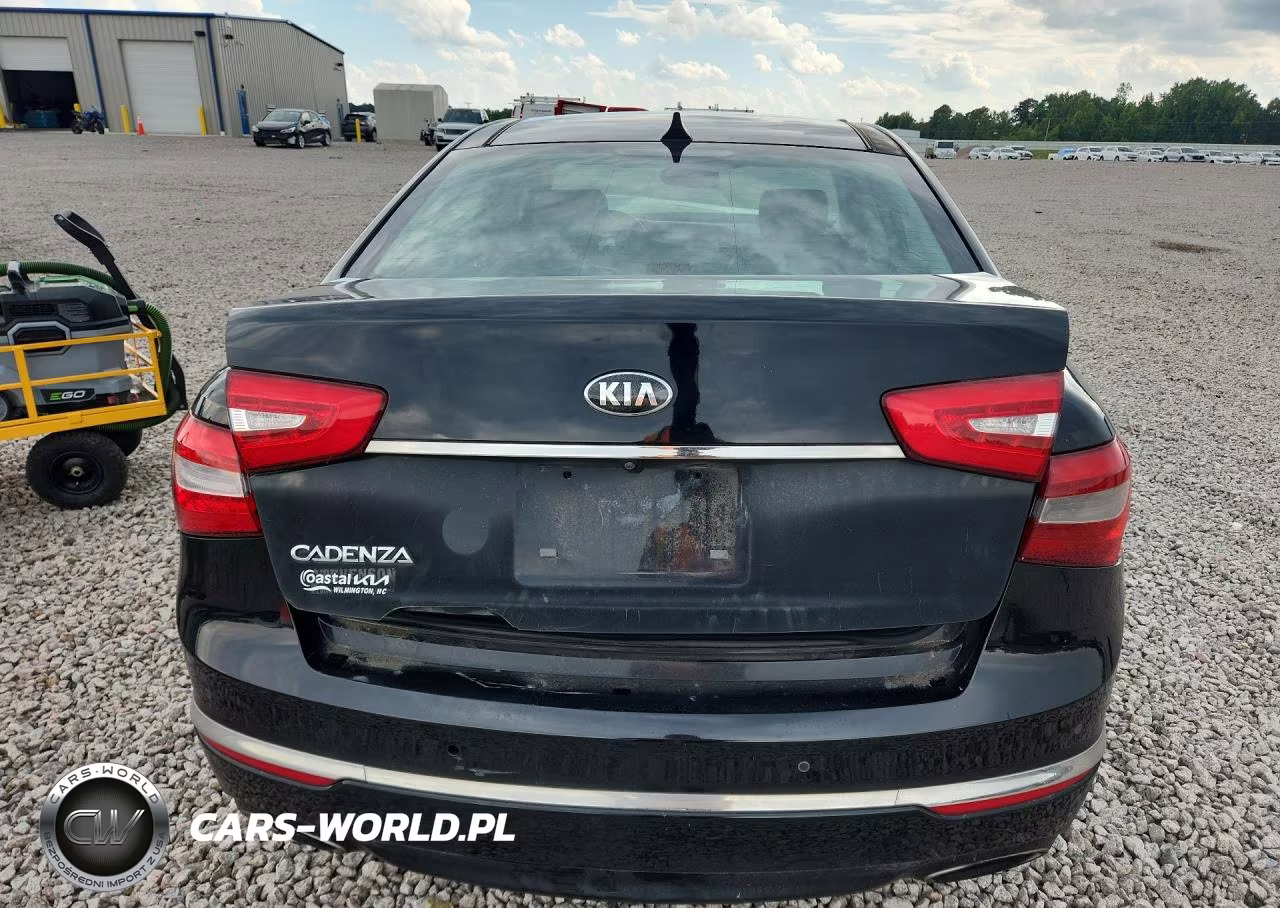 2015 Kia Cadenza Premium VIN:KNALN4D73F5170617 - 6