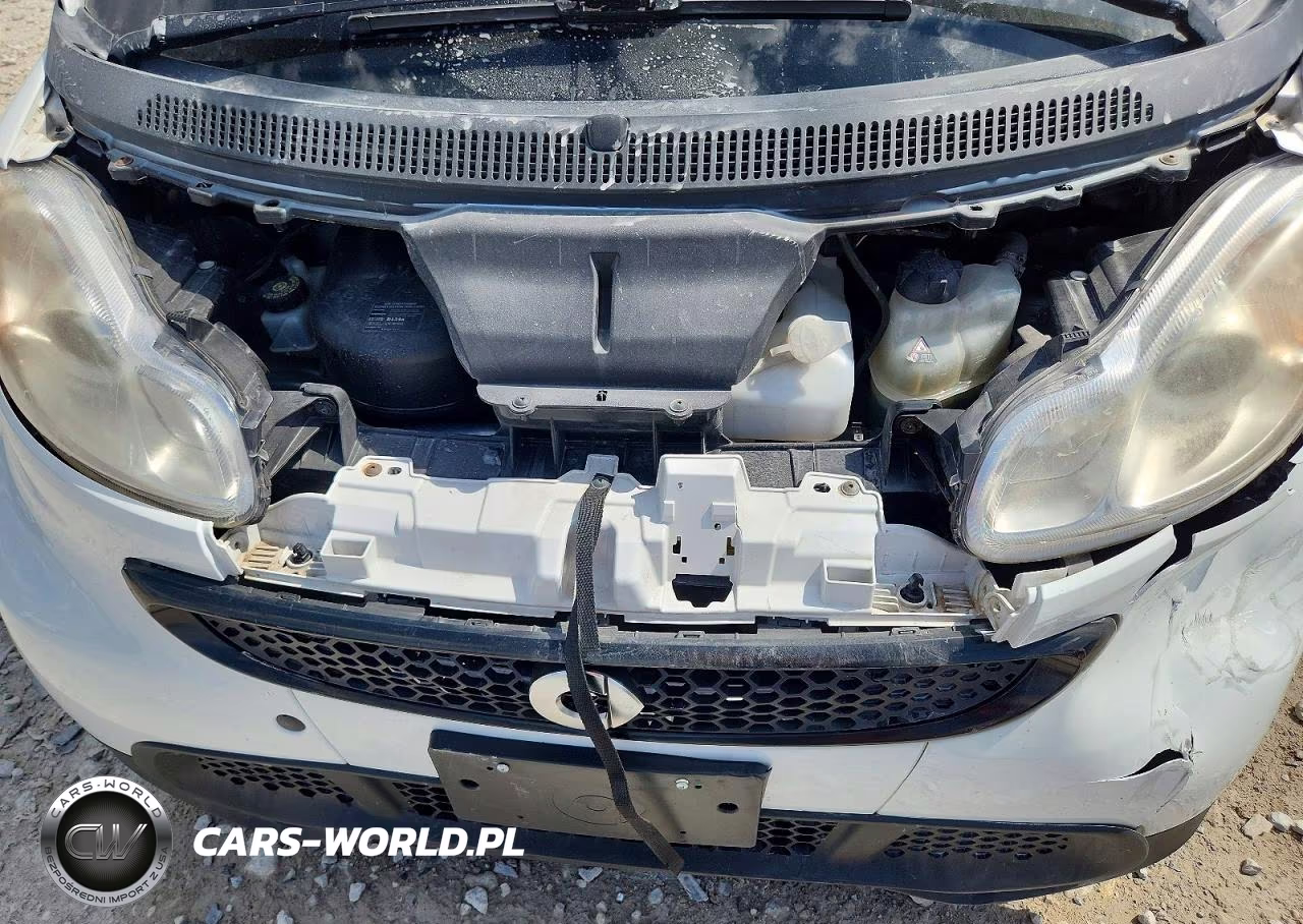2014 Smart Fortwo Pure VIN:WMEEJ3BA4EK748306 - 11