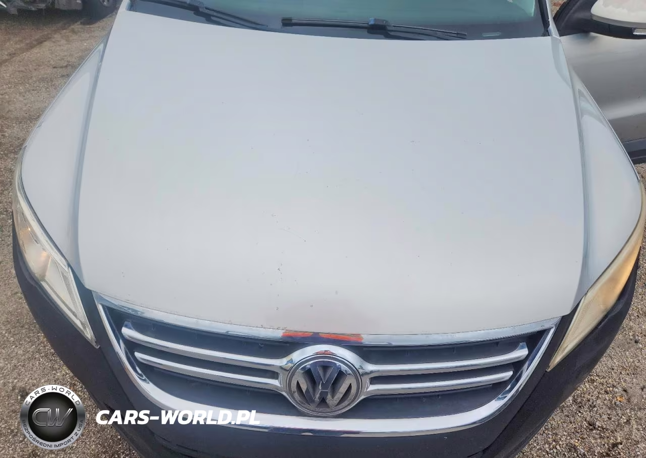 2009 Volkswagen Tiguan S VIN:WVGAV75N09W527156 - 12
