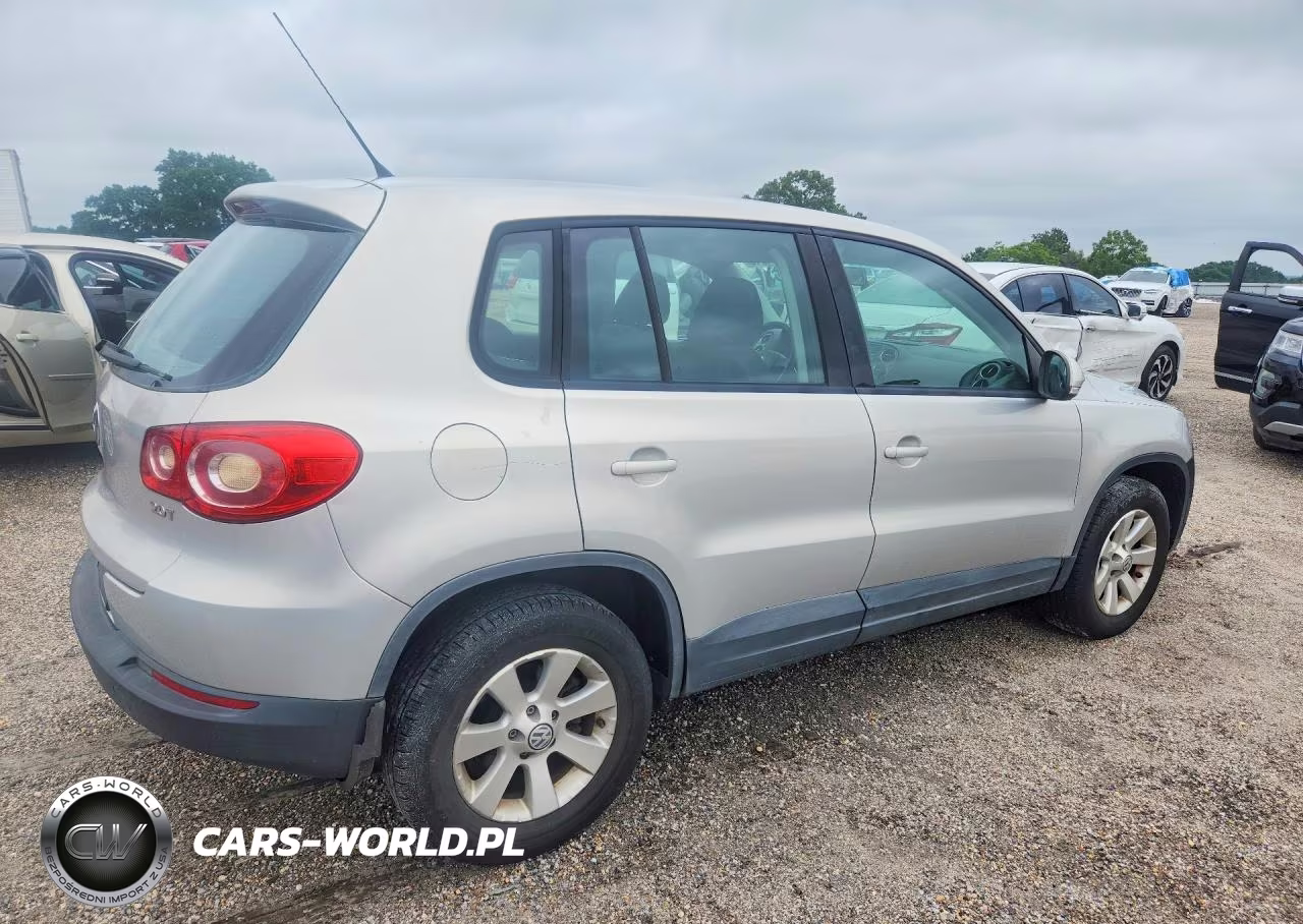 2009 Volkswagen Tiguan S VIN:WVGAV75N09W527156 - 3