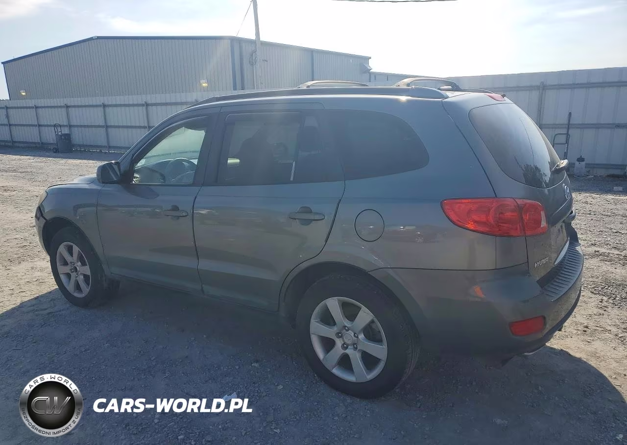 2009 Hyundai Santa Fe Se VIN:5NMSH13E29H302546 - 2