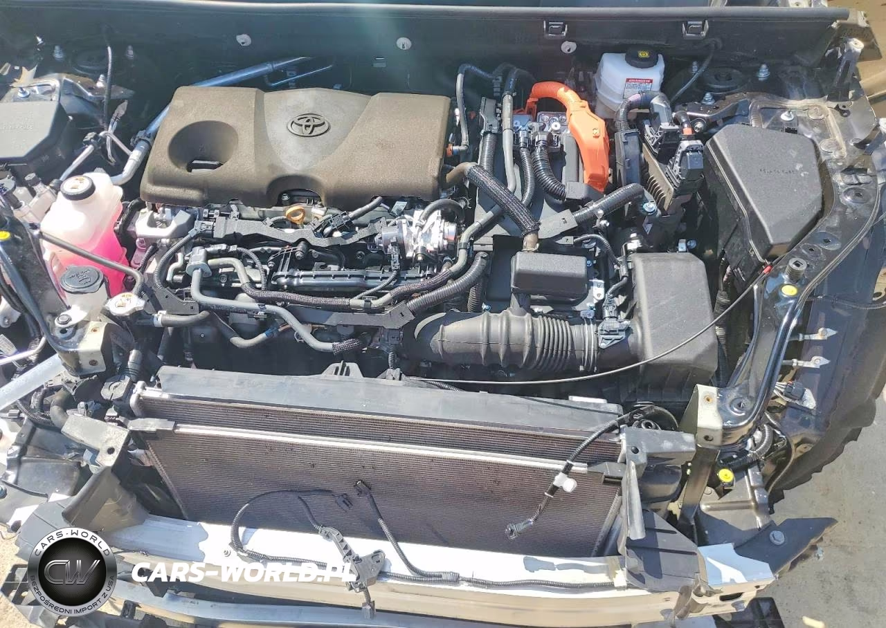 2024 Toyota Rav4 Hybrid Xle VIN:2T3RWRFVXRW247953 - 12
