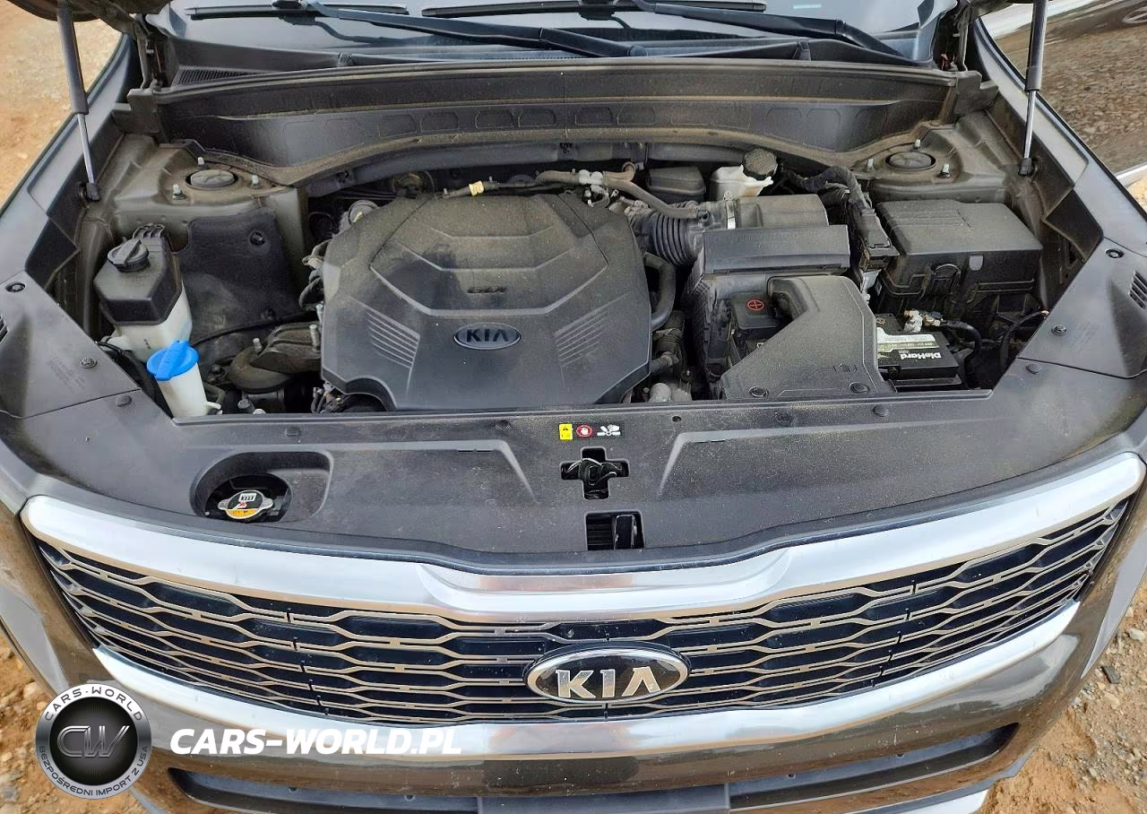 2020 Kia Telluride S VIN:5XYP64HC0LG053914 - 12