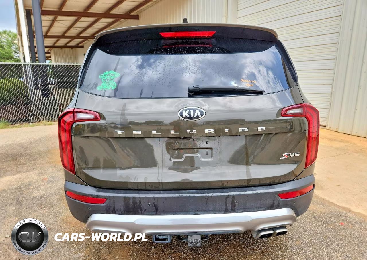 2020 Kia Telluride S VIN:5XYP64HC0LG053914 - 6