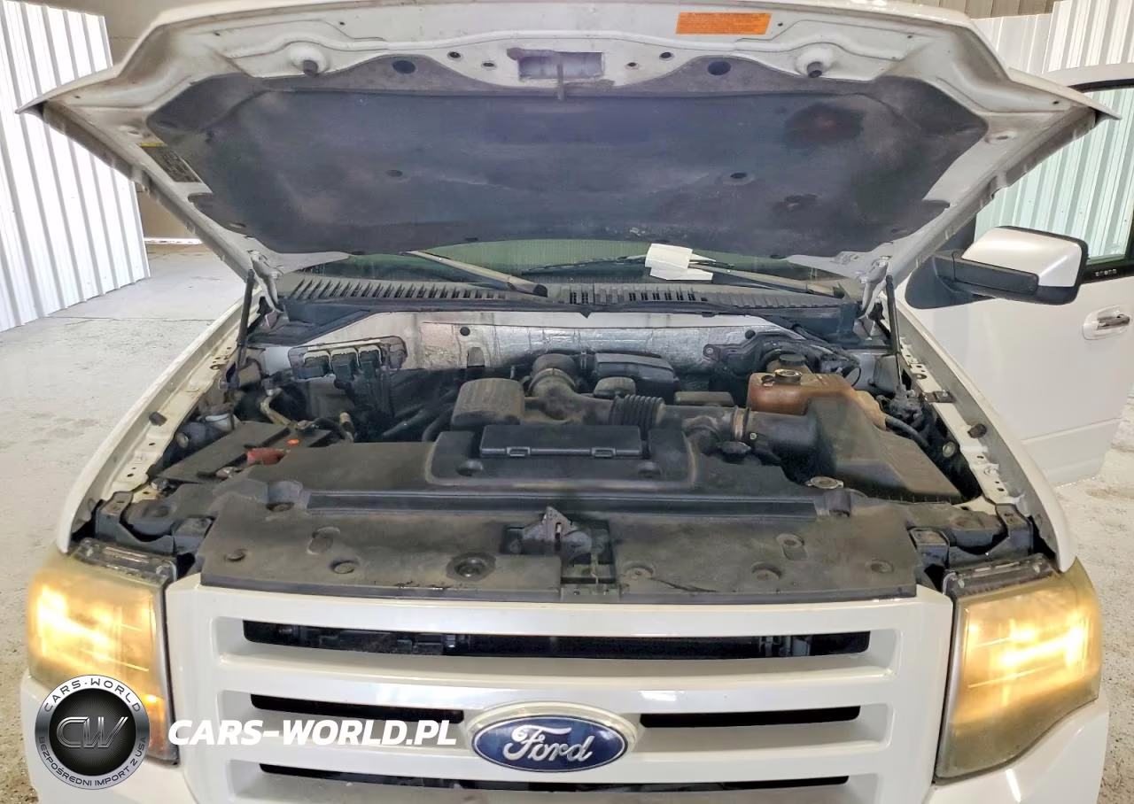 2010 Ford Expedition El Limited VIN:1FMJK2A58AEA32831 - 11