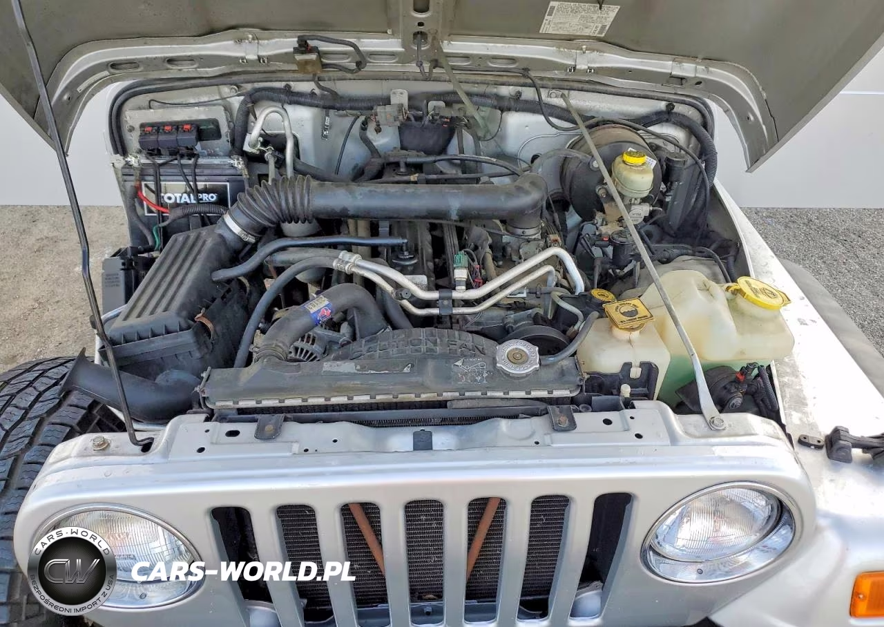 2006 Jeep Wrangler X VIN:1J4FA39S96P702468 - 11
