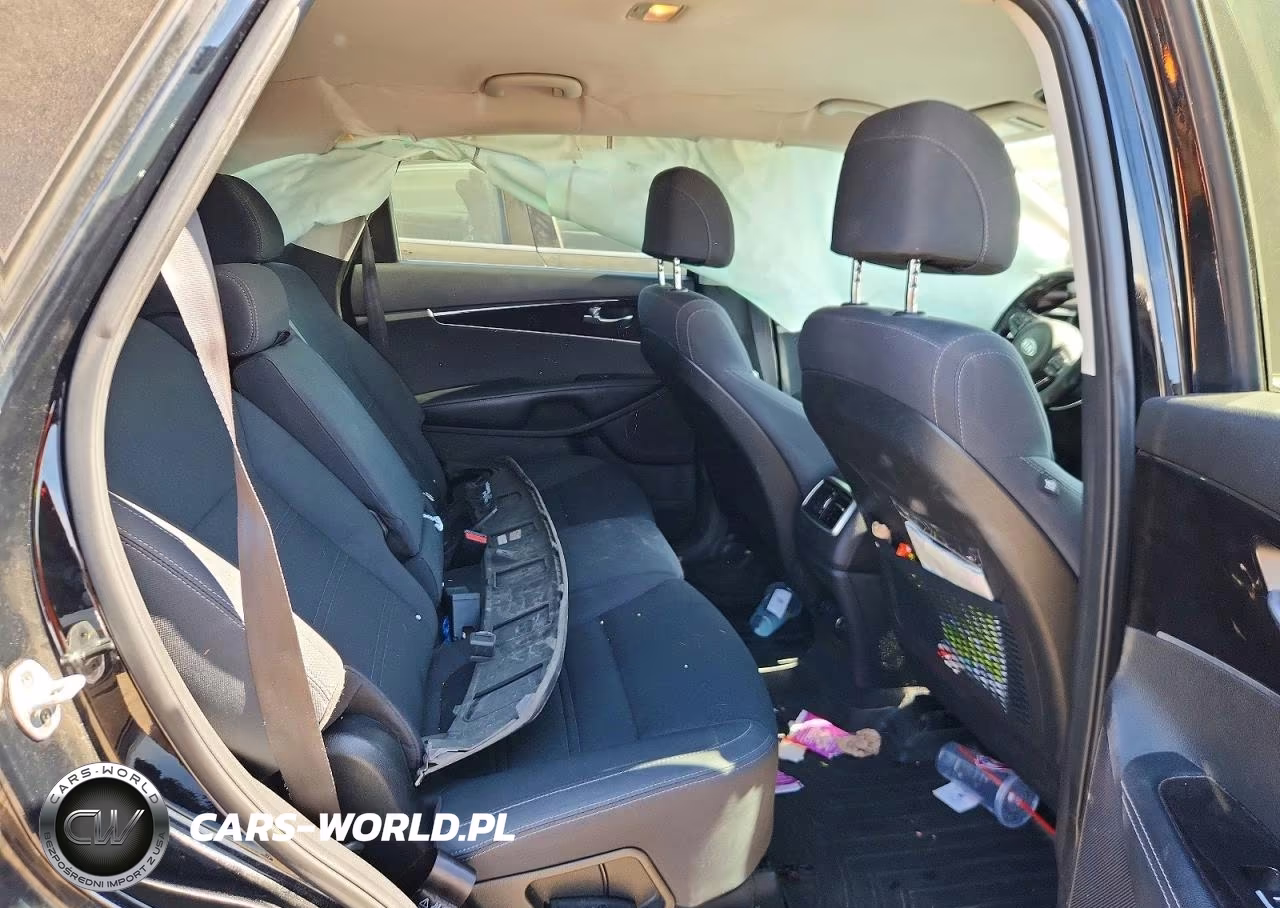 2017 Kia Sorento Lx VIN:5XYPGDA3XHG255433 - 10