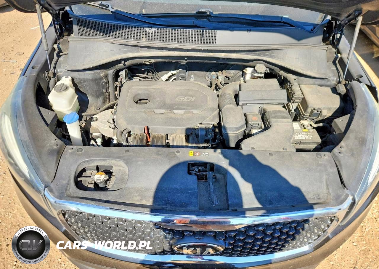 2017 Kia Sorento Lx VIN:5XYPGDA3XHG255433 - 11