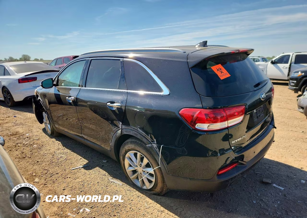 2017 Kia Sorento Lx VIN:5XYPGDA3XHG255433 - 2