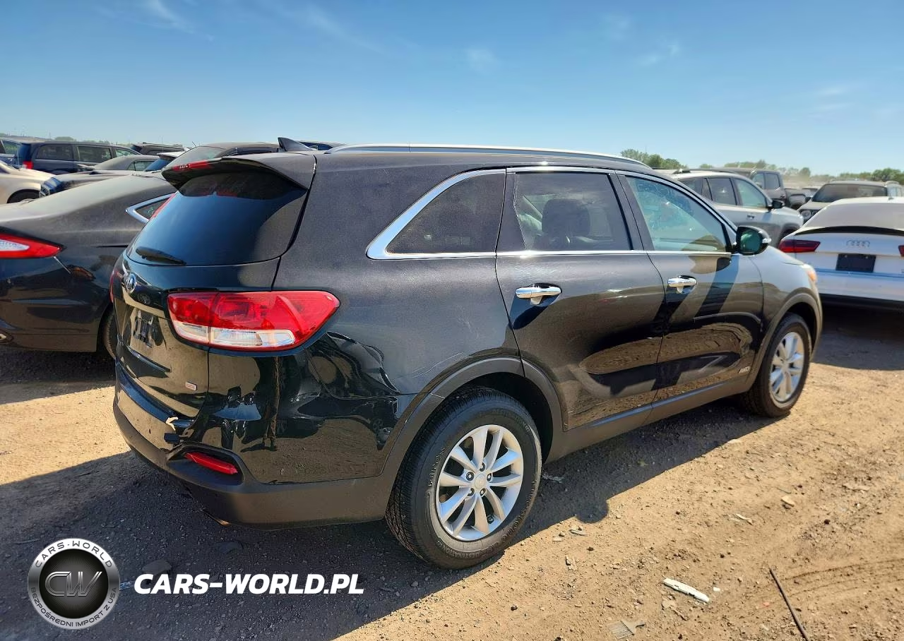 2017 Kia Sorento Lx VIN:5XYPGDA3XHG255433 - 3