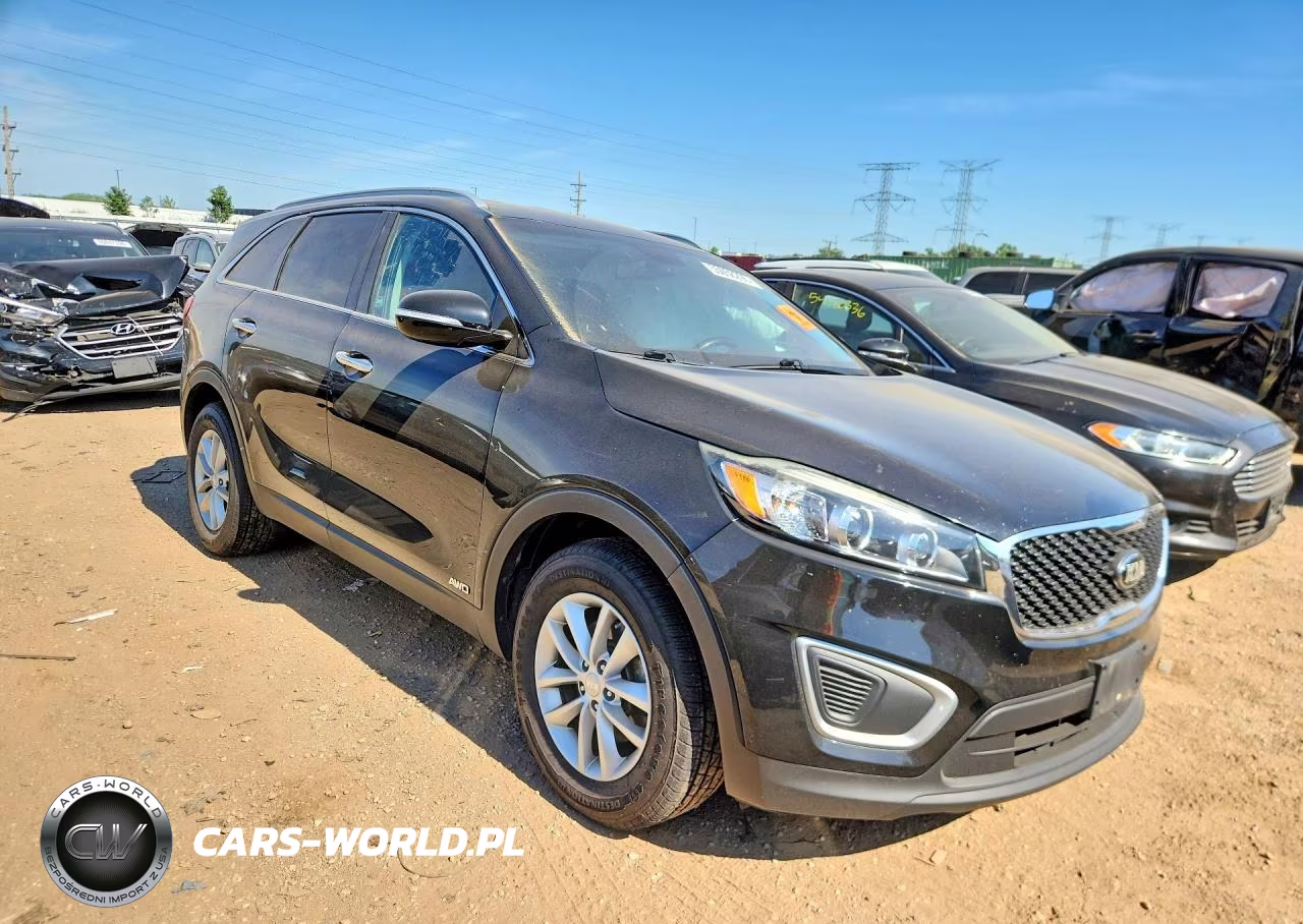 2017 Kia Sorento Lx VIN:5XYPGDA3XHG255433 - 4