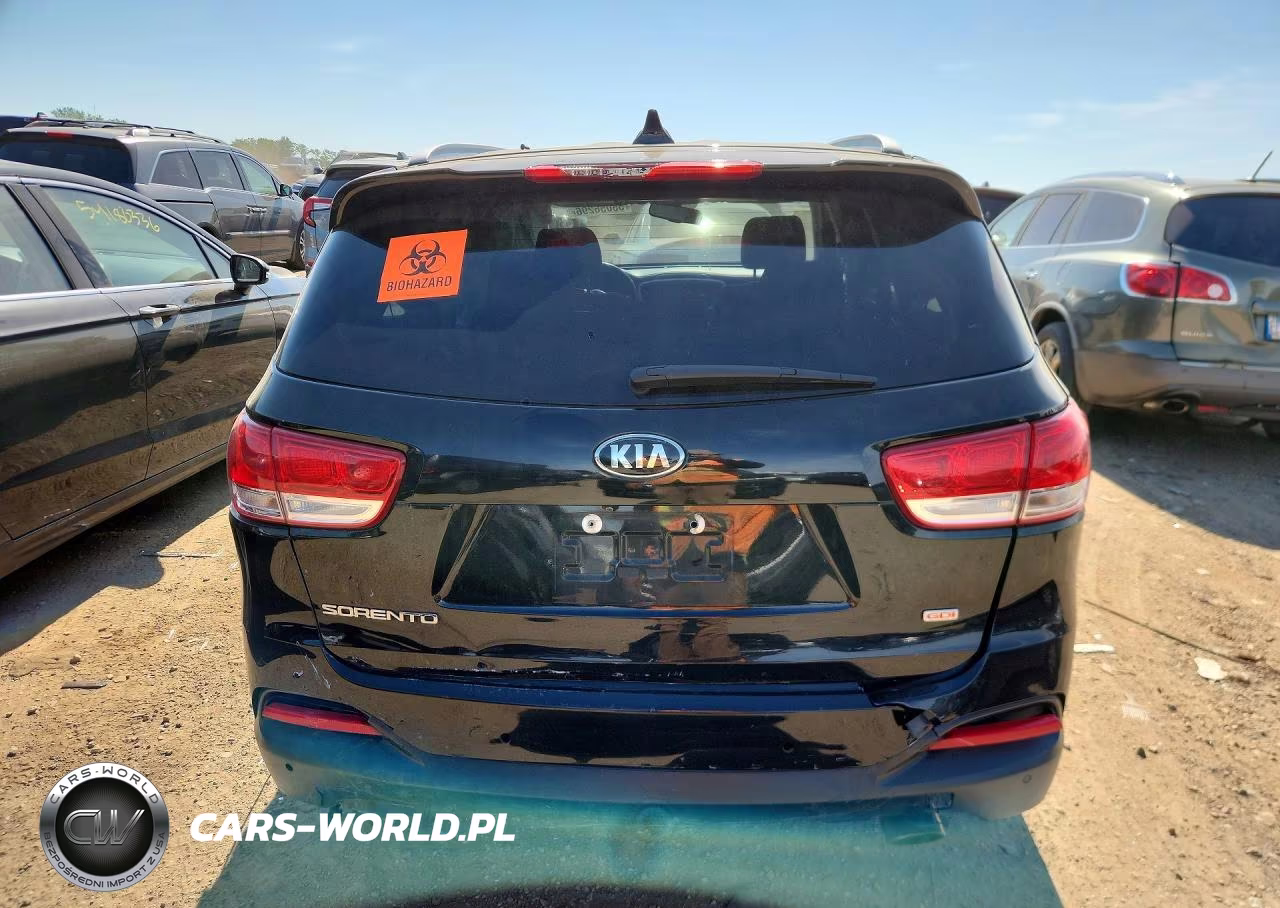 2017 Kia Sorento Lx VIN:5XYPGDA3XHG255433 - 6