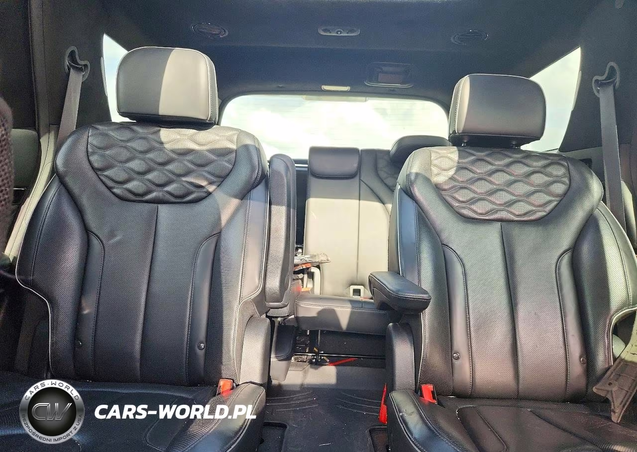 2020 Hyundai Palisade Limited VIN:KM8R5DHE0LU165961 - 10