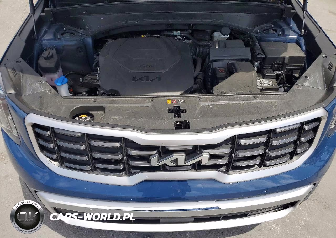 2025 Kia Telluride S VIN:5XYP64GC5SG638617 - 12