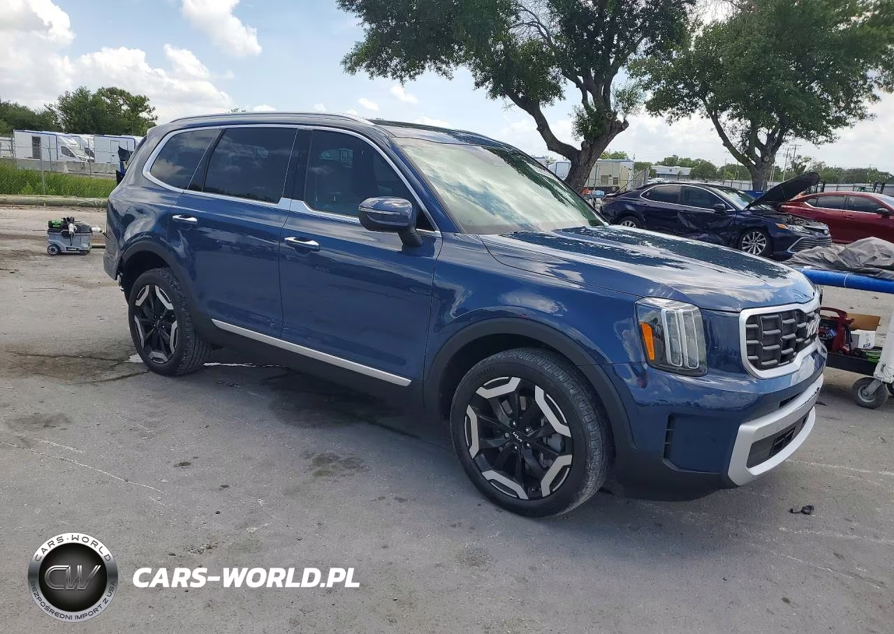 2025 Kia Telluride S VIN:5XYP64GC5SG638617 - 4