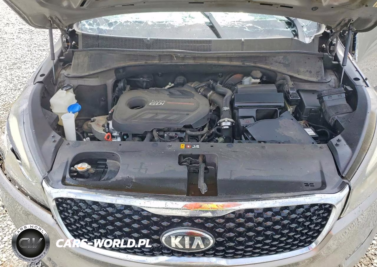 2016 Kia Sorento Ex VIN:5XYPH4A1XGG024140 - 12