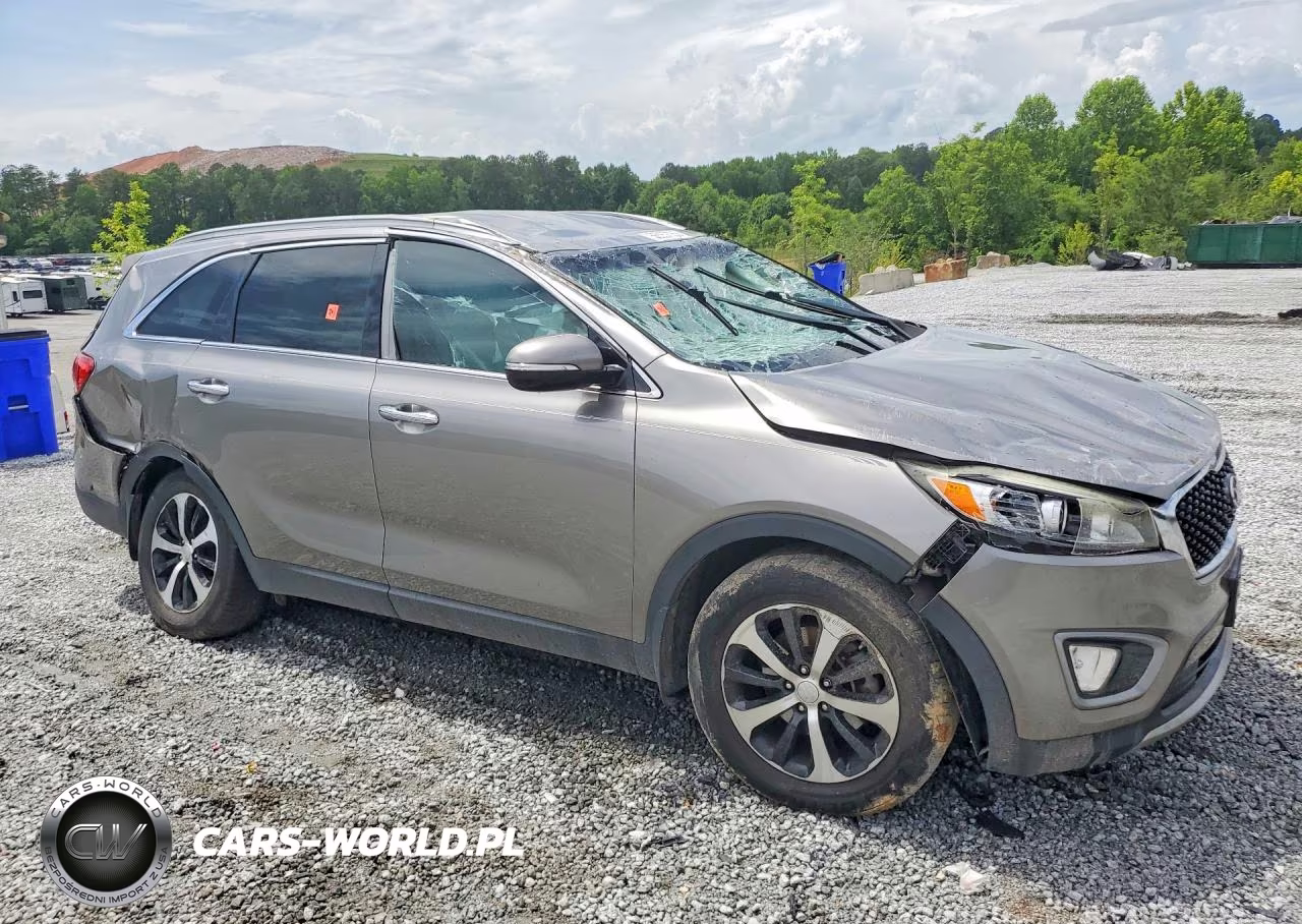 2016 Kia Sorento Ex VIN:5XYPH4A1XGG024140 - 4