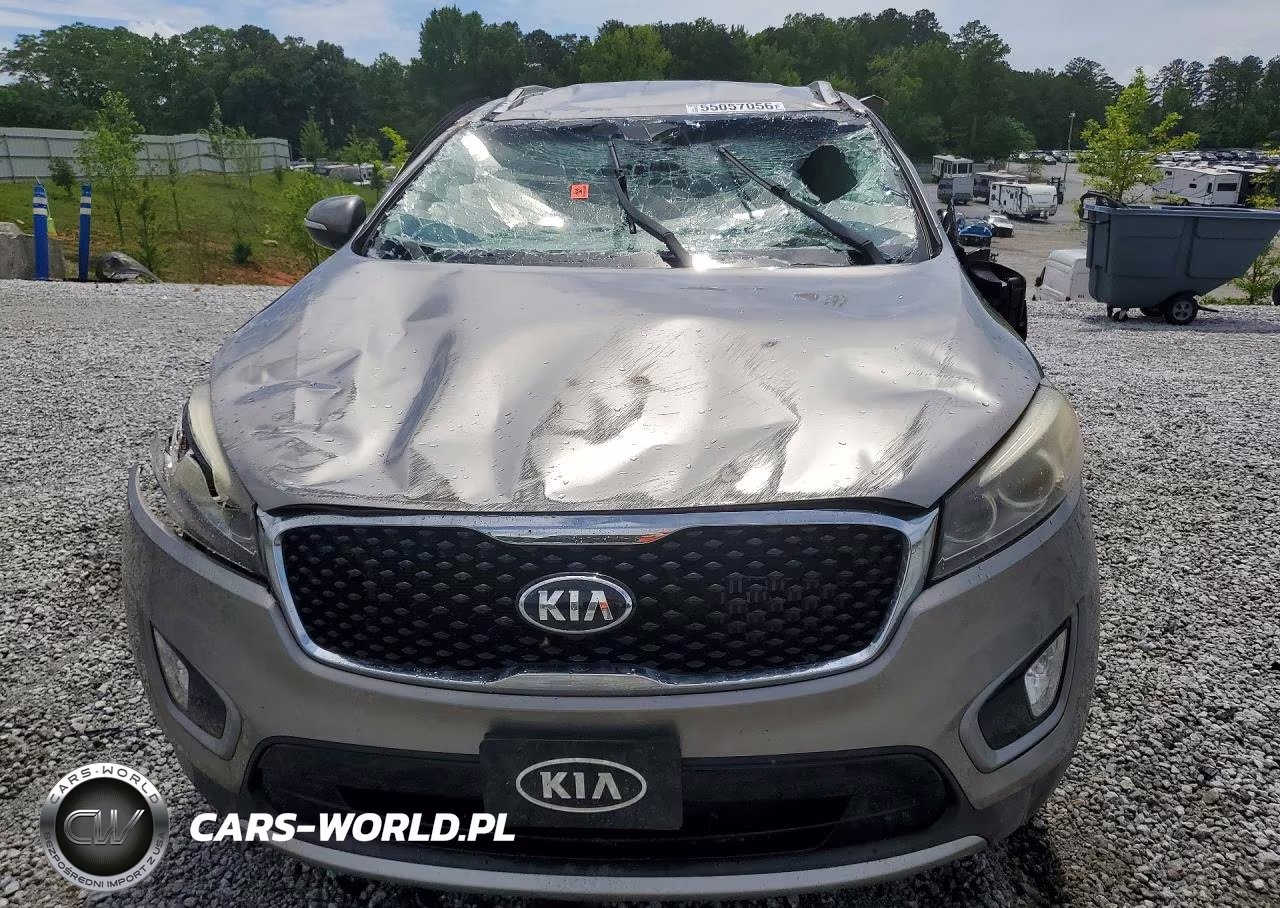 2016 Kia Sorento Ex VIN:5XYPH4A1XGG024140 - 5