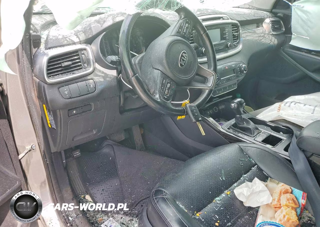 2016 Kia Sorento Ex VIN:5XYPH4A1XGG024140 - 8