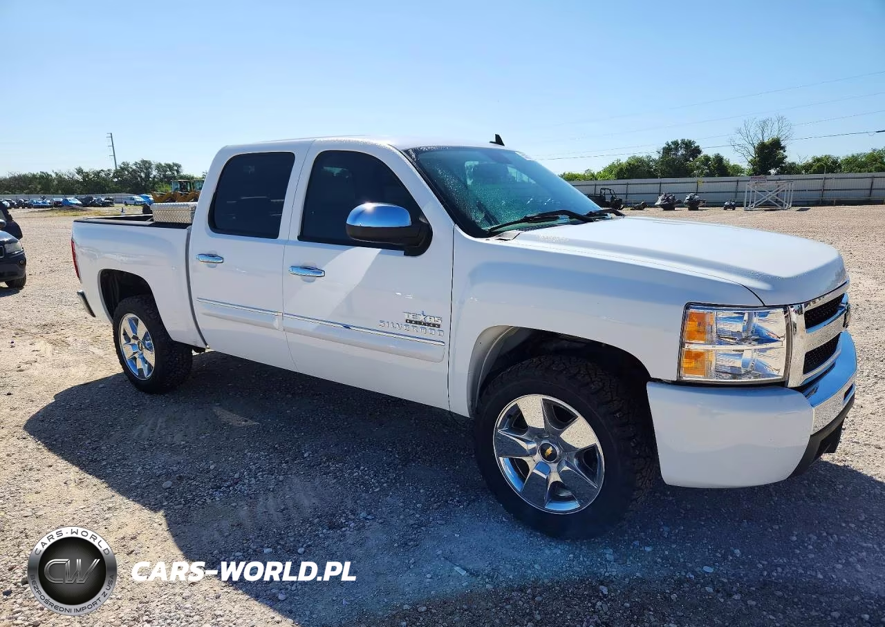 2010 Chevrolet Silverado C1500 Lt VIN:3GCRCSE04AG159796 - 4