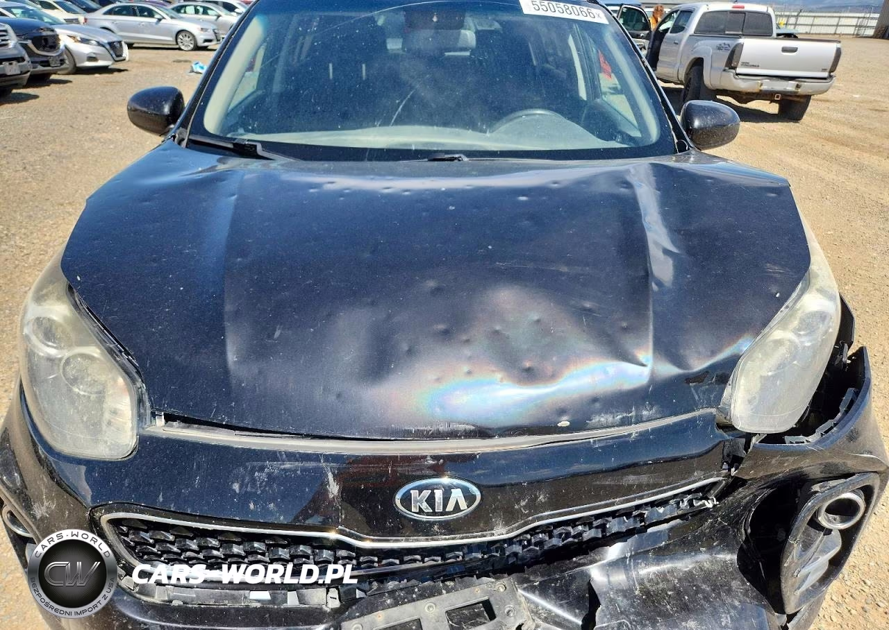 2018 Kia Sportage Lx VIN:KNDPMCAC8J7424600 - 11